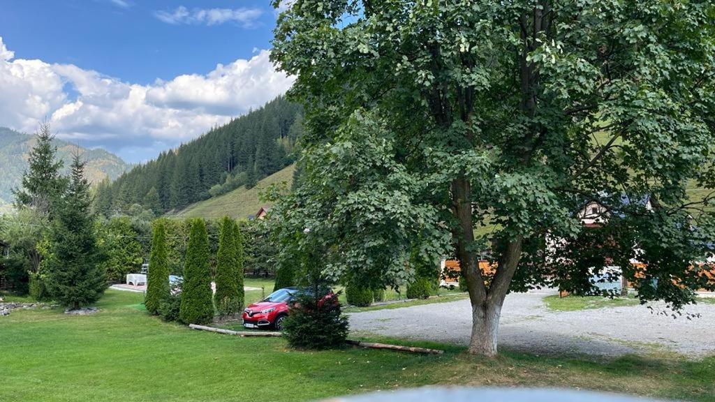 Pietrele Doamnei Hotel Pojorîta Екстериор снимка